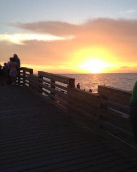 Venice, FL: picture of the sunset from our table