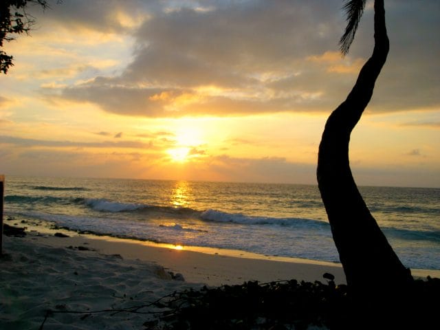 twcseysunset174