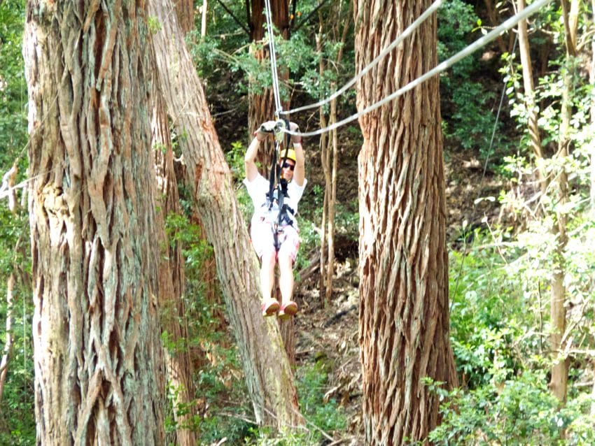 which type of triathlete wife goes ziplining