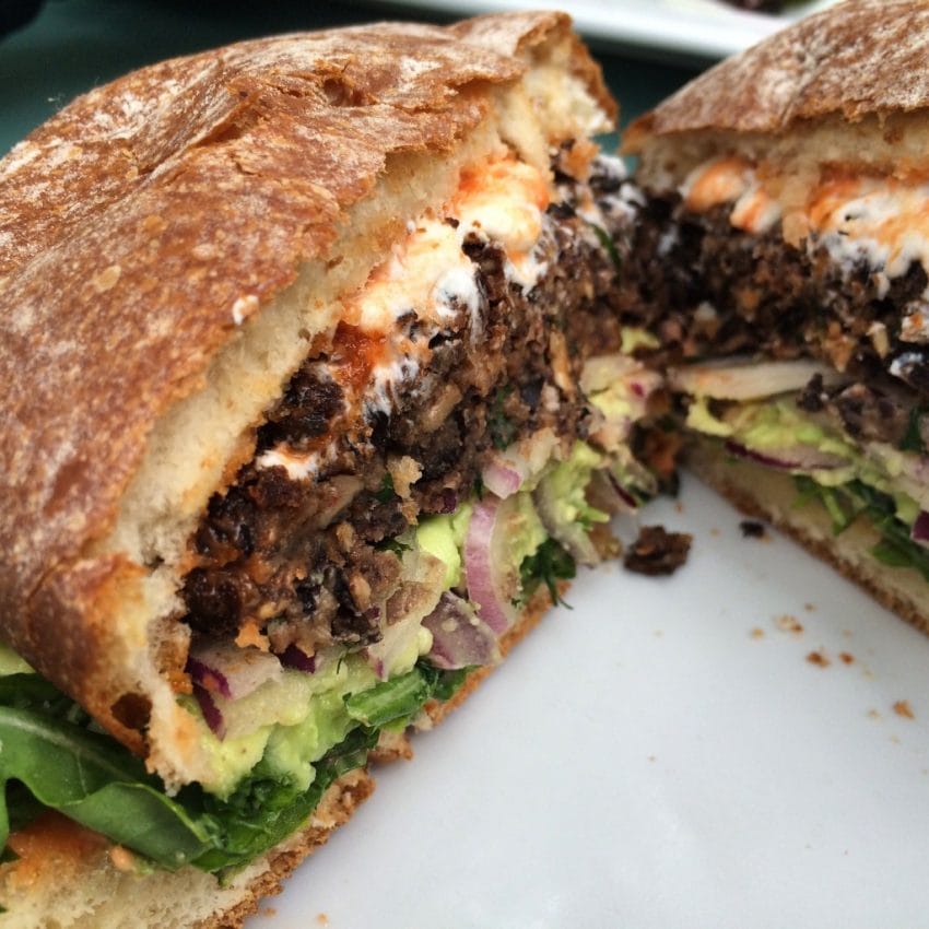 house of tricks, tempe, arizona