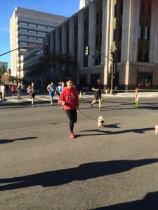 Dog walking during the holidays