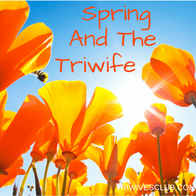 Spring And The Triwife-2