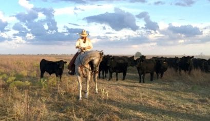 sustainable farming farms on fire in heartland