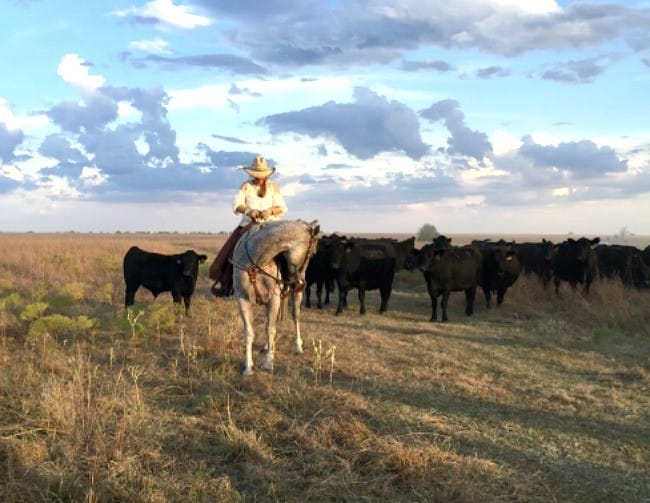 sustainable farming farms on fire in heartland