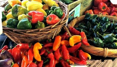 what are some vacation tips to have fun in Arizona and to eat healthy on vacationn