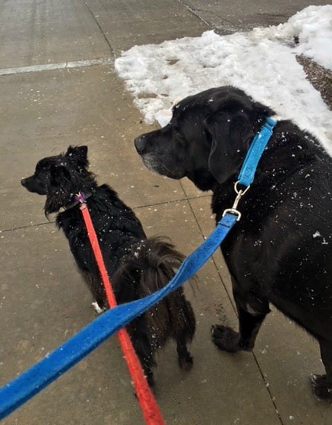 what are some things that made me crazy