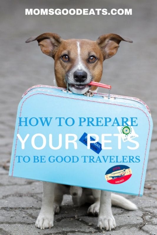 what should I do to make sure my pets travel well