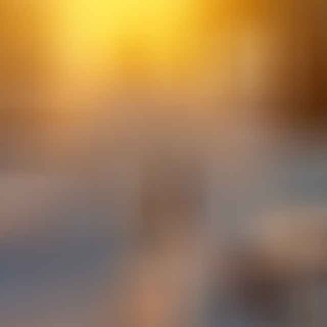 how to know when it's time to end your pet's suffering