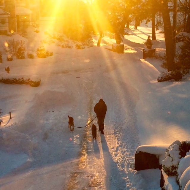 how to know when it's time to end your pet's suffering