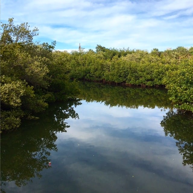 rio grande river in belize for triathletes