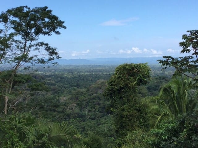 a view from copal tree lodge belize