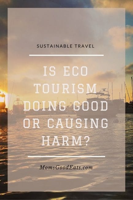 Is Eco Tourism Doing Good or Causing Harm