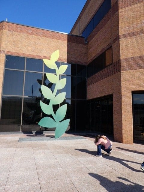 separating the fact from fiction about Monsanto