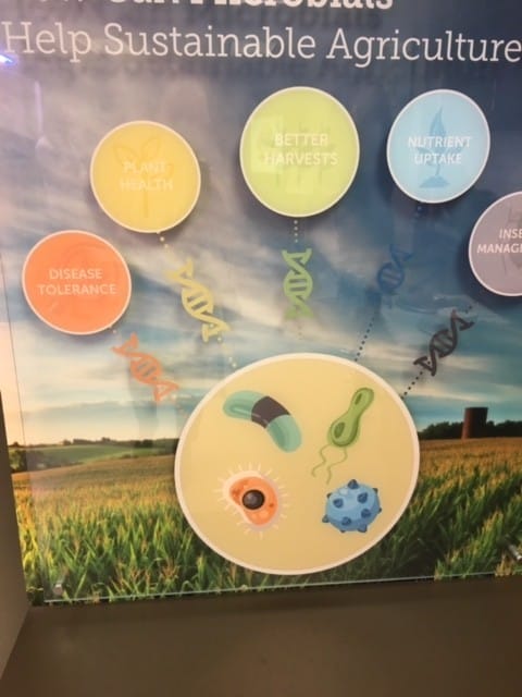 are GMOs from Monsanto our friend or enemy