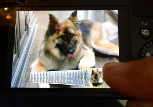 why the panasonic lumix zs60 is my go to camera