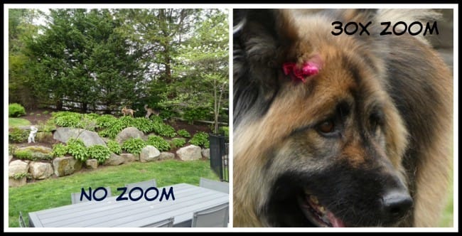 what are the best features of the panasonic lumix zs60