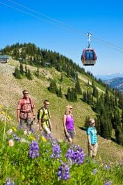 where to stay when exploring seattle and mount rainier