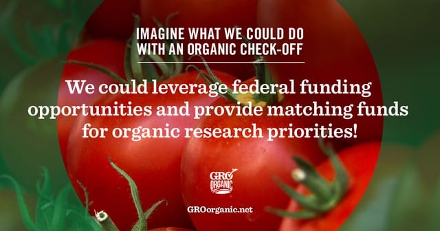 why GRO Organic matters to the food you serve your family