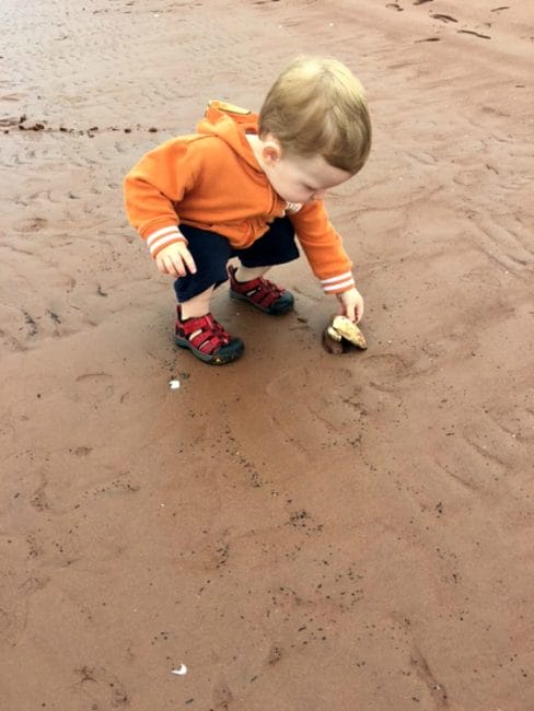 are the beaches good on prince edward island