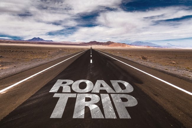 what are must haves for a family road trip