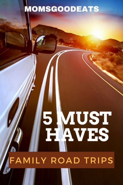 what are must haves for family road trips