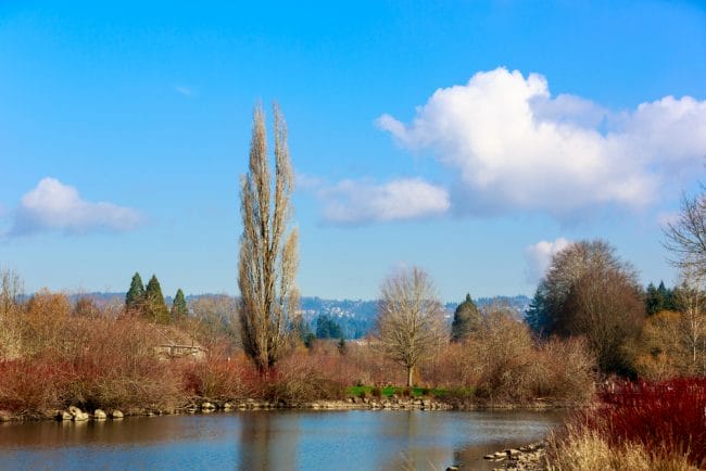 what is there to do in beaverton oregon