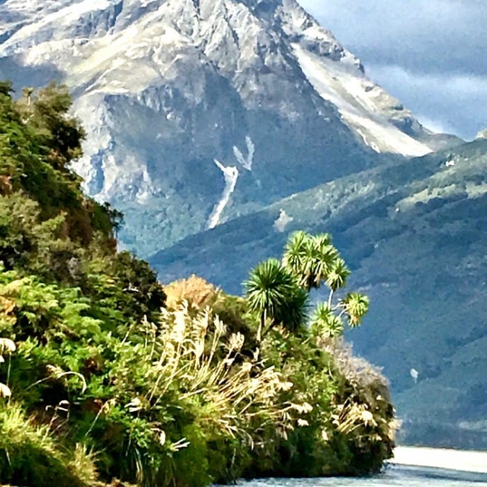 is a dart river wilderness safari one of the south island new zealand attractions for triathletes