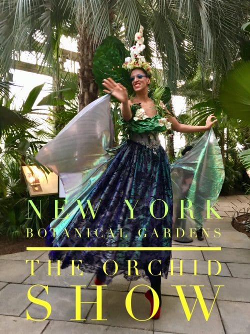 is it worth exploring the orchid show at the nybg