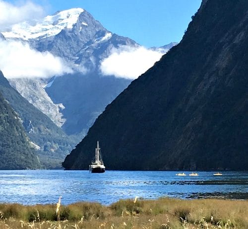 is milford sound a site to visit on new zealand's rugged west coast