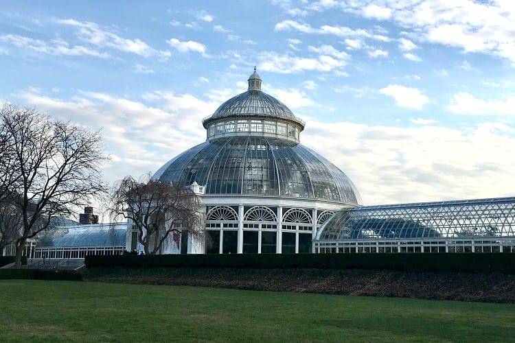 visiting the new york botanical gardens 