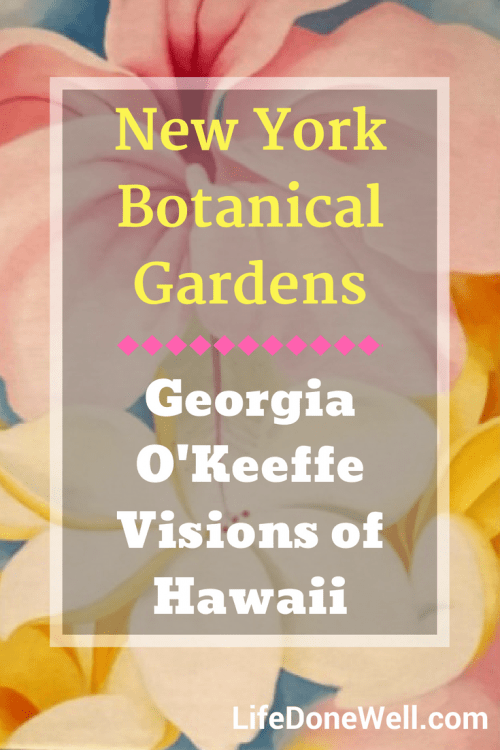 is the new york botanical gardens georgia o'keeffe visions of hawaii exhibit worth a visit