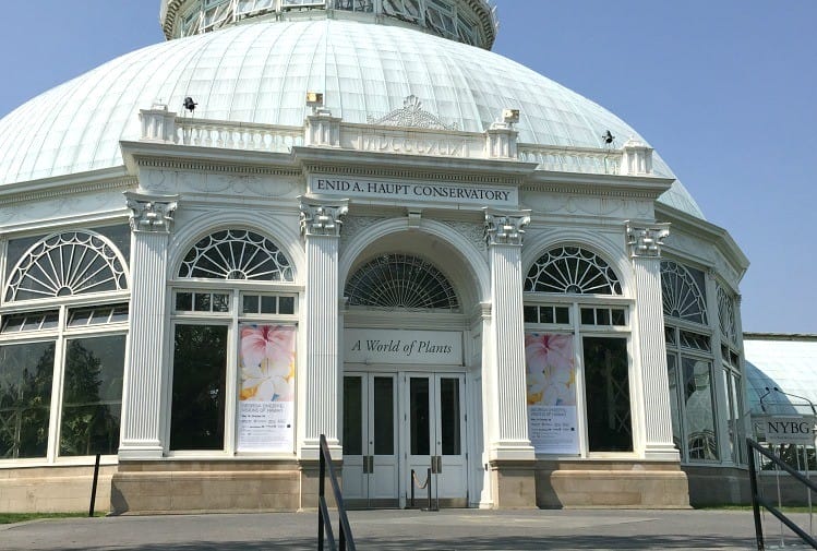 visit the new york botanical gardens to see georgia o'keeffe exhibit