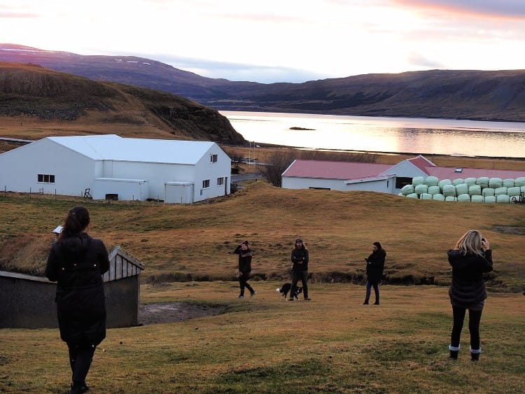 what it's like being on an icelandic farm
