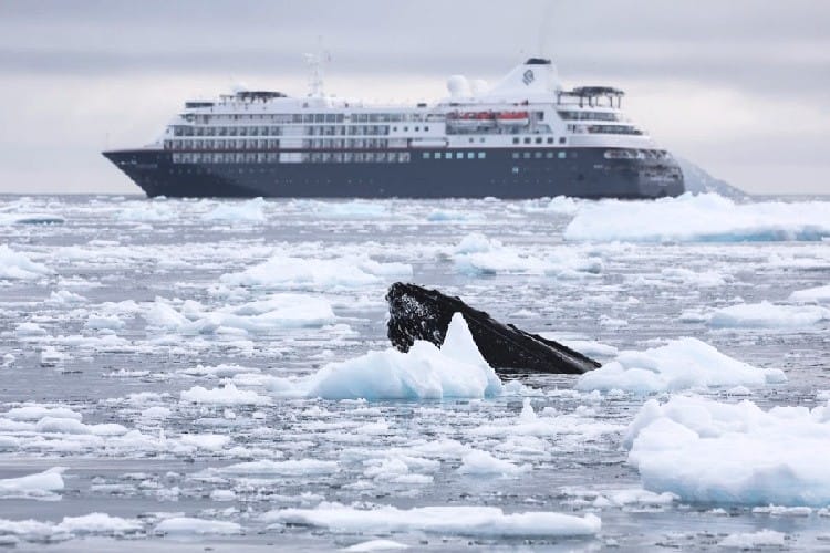 taking a cruise in antarctica