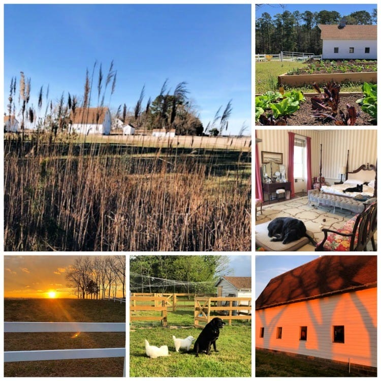 from city girl to farm girl