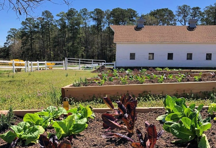 sugar manor farm gardens