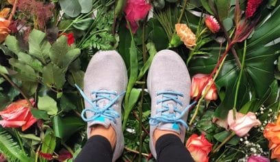 sustainable shoe brands like allbirds