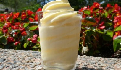is the dole whip one of the adult disney world treats