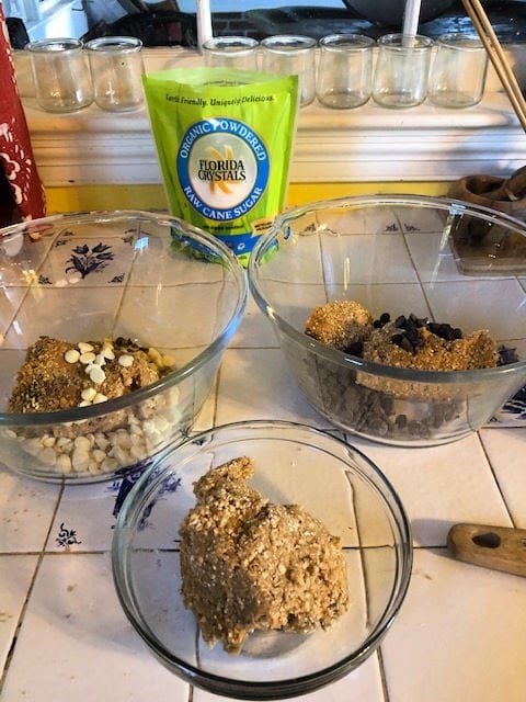 what are some mix-ins for go-to oatmeal cookies recipe