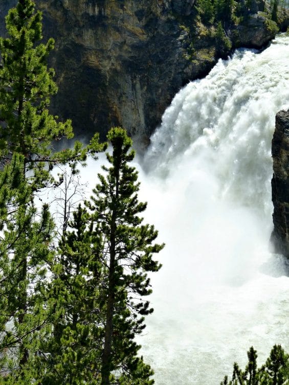 take a virtual tour of a national park like yellowstone to cure travel withdrawals 