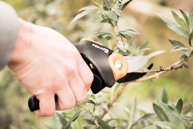 what are some father's day gift ideas for the gardner