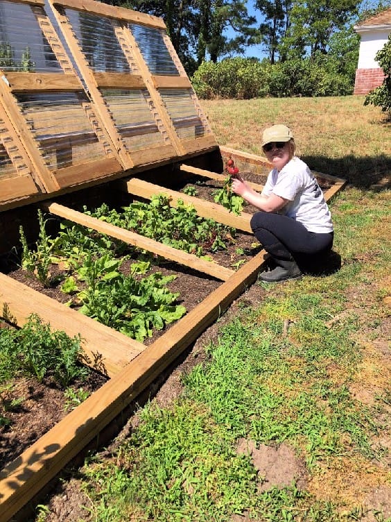 sugar manor house vegetable garden