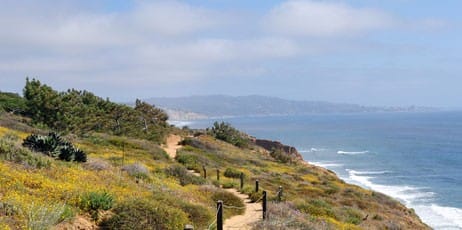 is Torrey Pines State Natural Reserve fun to do in oceanside california