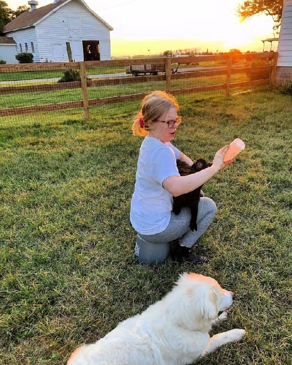 farm living at Sugar Water Manor
