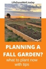 what to plant now for a fall garden