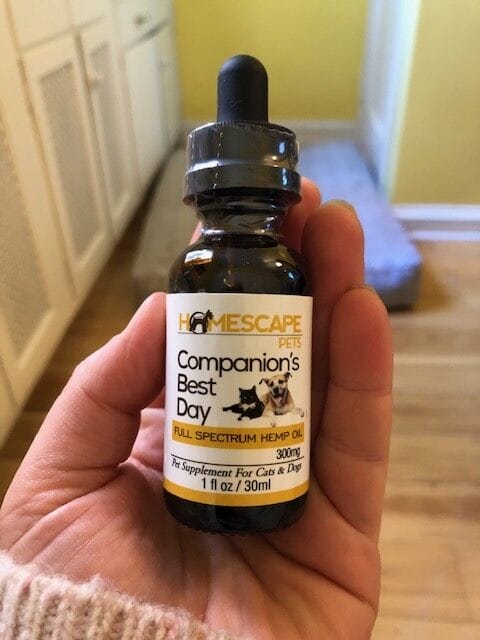 Companion’s Best Day Full Spectrum Hemp Oil may be just what your anxious dog or cat needs. 