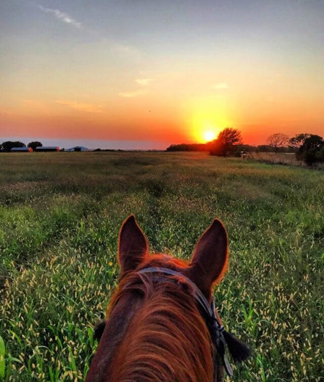 women in ranching and farming