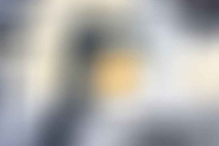 apricot pinwheel cookies recipe