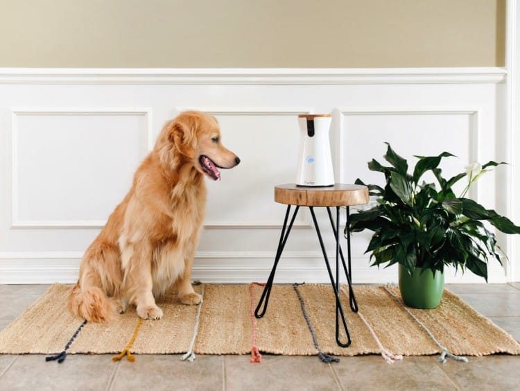 gifts for dog lovers