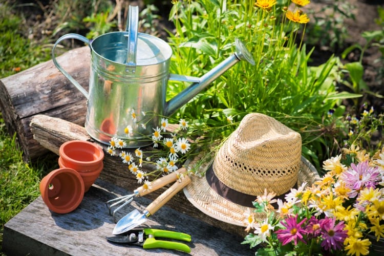 20 Creative Gardening Hacks to Make Your Garden Grow